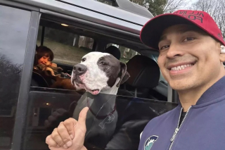 Illustration de l'article : Jihoo, le croisé Pitbull, trouve sa famille pour la vie, grâce à une livraison de repas inattendue