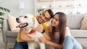 Illustration : "Les premières semaines avec votre chien"